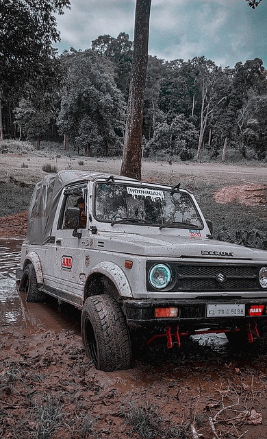 降维打击！麦基19投13中怒砍30分10篮板2盖帽